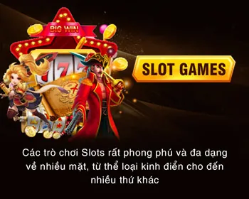 Hỗ trợ chuyên nghiệp 789bet